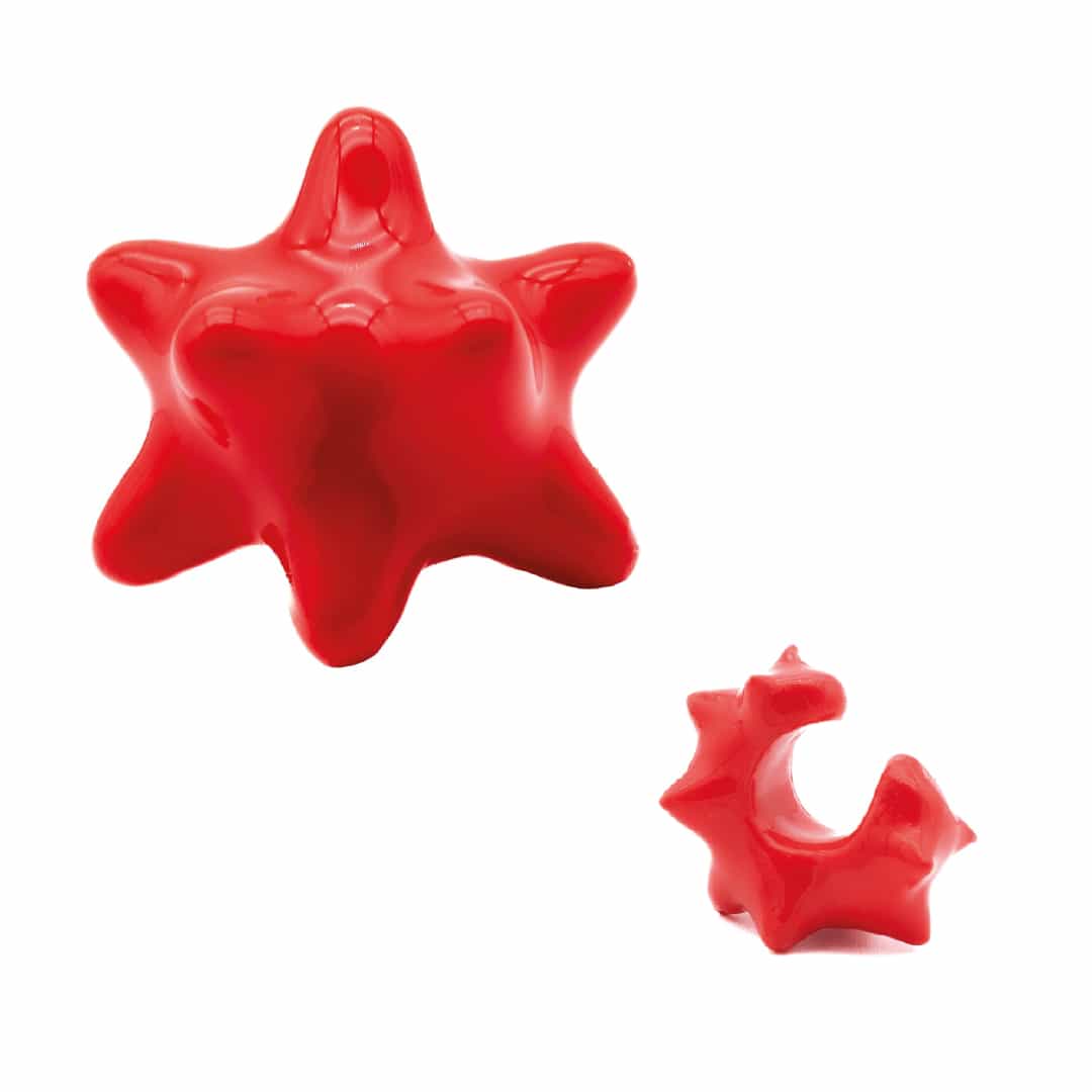 Fotón de Tartipack gambón